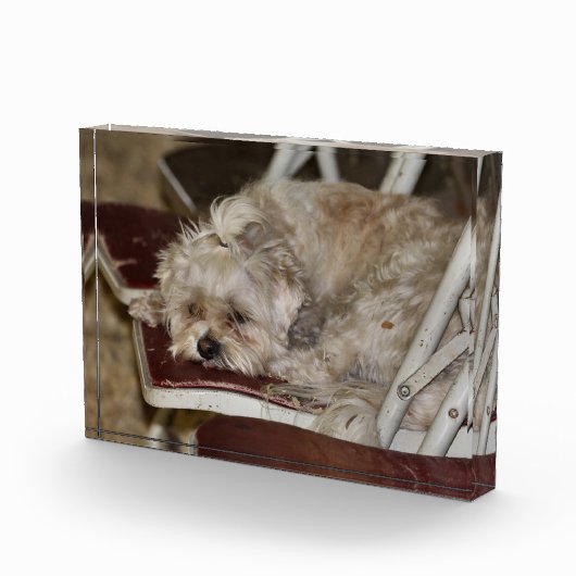 Rumpel Fotoblock (Rechts)