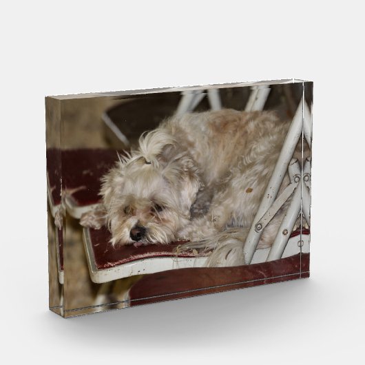 Rumpel Fotoblock (Links)