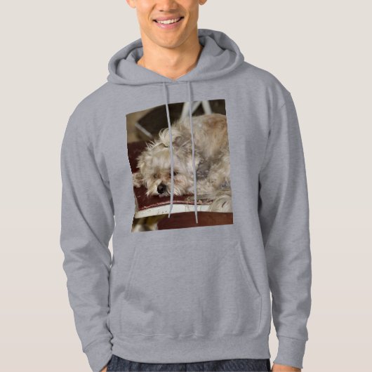 Rumpel Hoodie (Vorderseite)