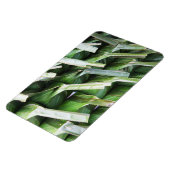 Rumpf-Bananenleaf-Packungen Magnet (Linke Seite)