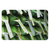 Rumpf-Bananenleaf-Packungen Magnet (Horizontal)