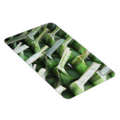 Rumpf-Bananenleaf-Packungen Magnet (Rechte Seite)