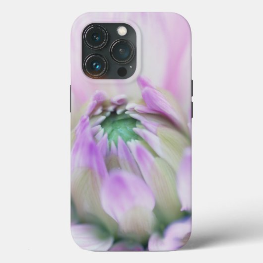 Rumpf für Iphone 13 pro Dahlia Case-Mate iPhone Hülle (Rückseite)