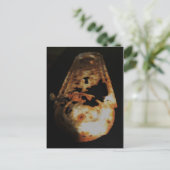 Rumpf Postkarte (Stehend Vorderseite)