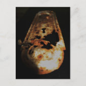 Rumpf Postkarte (Vorderseite)