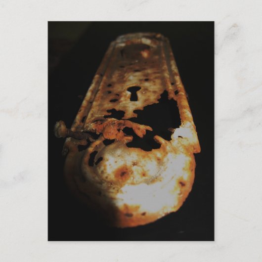 Rumpf Postkarte (Vorderseite)