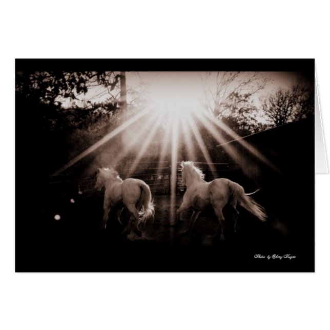 ~Run Andalusian Run~ (Vorderseite (Horizontal))