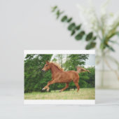 Run Baby Run Postkarte (Stehend Vorderseite)