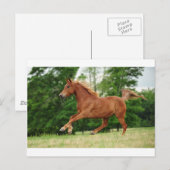 Run Baby Run Postkarte (Vorne/Hinten)