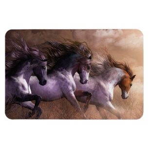 Run to Freedom Premium Flexi Magnet
