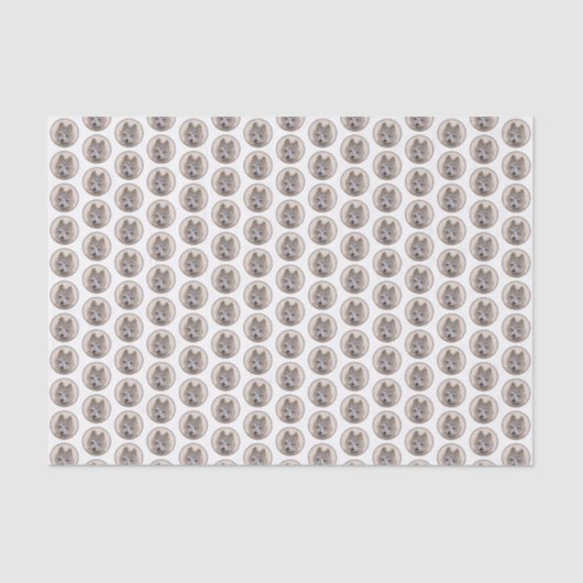 rund2 seidenpapier (Vorderseite)