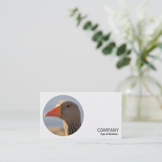Rund Foto - Graugans Visitenkarte (Stehend Vorderseite)