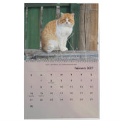 Rund um den Bauernhof Kalender (Feb 2027)