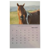 Rund um den Bauernhof Kalender (Mär 2027)