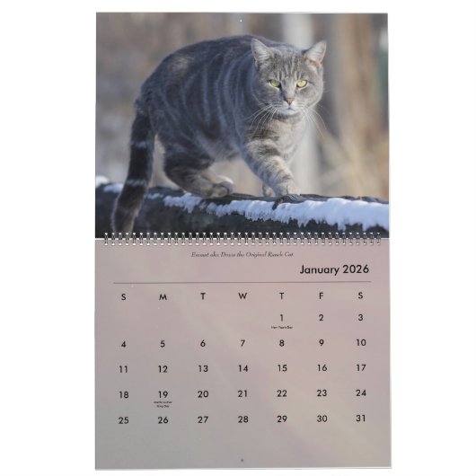 Rund um den Bauernhof Kalender (Jan 2026)