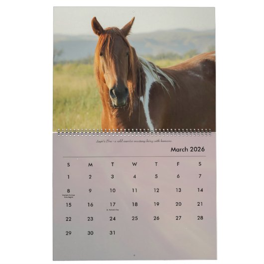 Rund um den Bauernhof Kalender (Mär 2026)