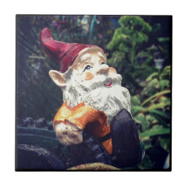 Rund um den Gnome im Garten. Fliese