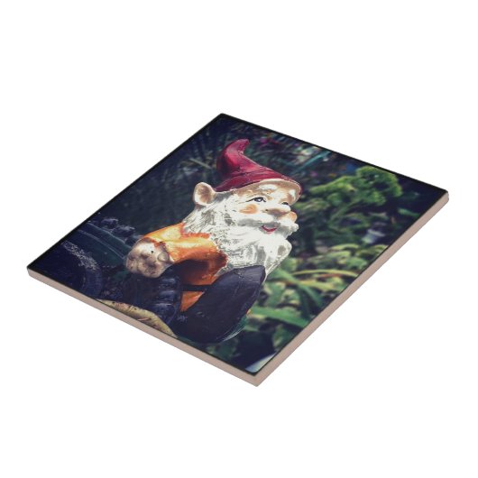 Rund um den Gnome im Garten. Fliese (Seite)