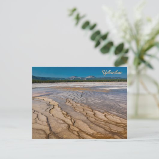 Rund um den Grand Prismatic Spring Yellowstone Postkarte (Stehend Vorderseite)