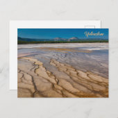 Rund um den Grand Prismatic Spring Yellowstone Postkarte (Vorne/Hinten)