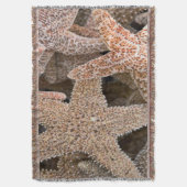 Rund um die Starfish Decke (Vorderseite Vertikal)