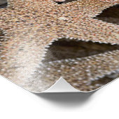 Rund um die Starfish Fotodruck (Ecke)