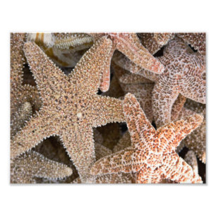 Rund um die Starfish Fotodruck