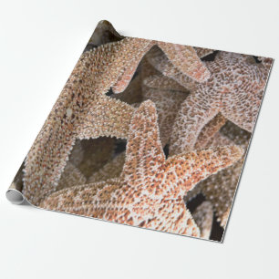 Rund um die Starfish Geschenkpapier