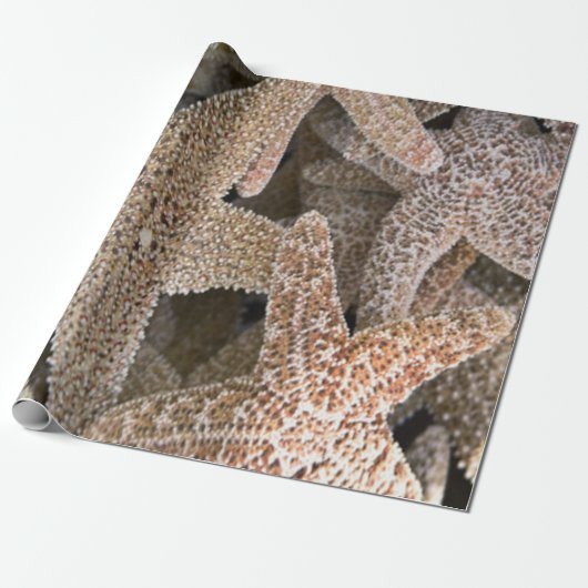 Rund um die Starfish Geschenkpapier (Ungerollt)
