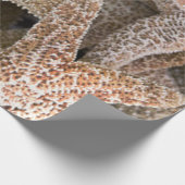 Rund um die Starfish Geschenkpapier (Ecke)