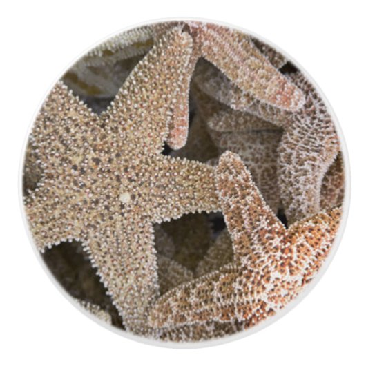 Rund um die Starfish Keramikknauf (Vorderseite)
