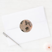 Rund um die Starfish Runder Aufkleber (Umschlag)