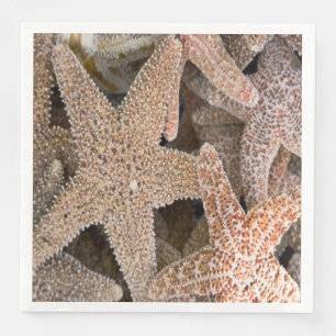 Rund um die Starfish Serviette