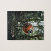 RUND UNGEWÖHNLICHES TREEHOUSE TINHOUSE JIGSAW PUZZ PUZZLE (Horizontal)
