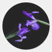 Rundaufkleber für doppelte Irisaufnahme Runder Aufkleber (Vorderseite)