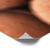 Rundbälle Poster (Ecke)