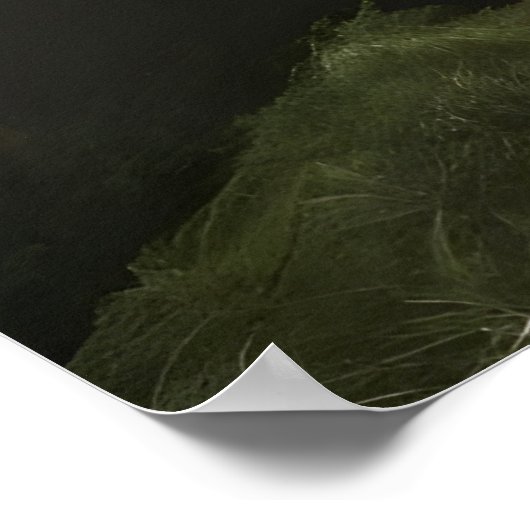 Rundbaumposter Poster (Ecke)