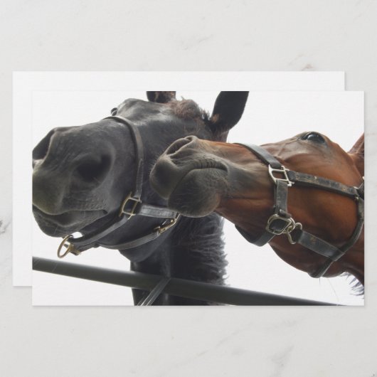 Runde Briefpapier (Vorne/Hinten)