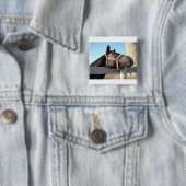 Runde Button (Beispiel)