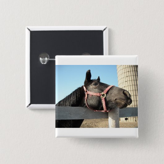 Runde Button (Vorne & Hinten)