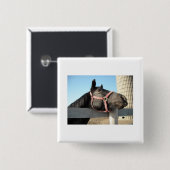 Runde Button (Vorne & Hinten)