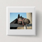 Runde Button (Vorderseite)