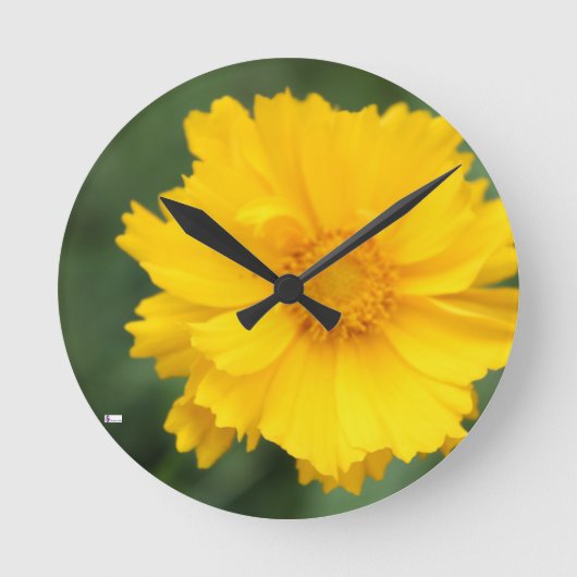 Runde der Acrylmauer (Mittel)3 Runde Wanduhr (Vorderseite)