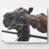 Runde Fotoplatte (Vorderseite)