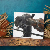 Runde Fotoplatte (Seite)