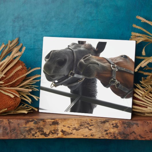 Runde Fotoplatte (Seite)