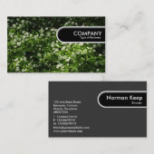 Runde Kante - Windknöchel Visitenkarte (Vorne/Hinten)