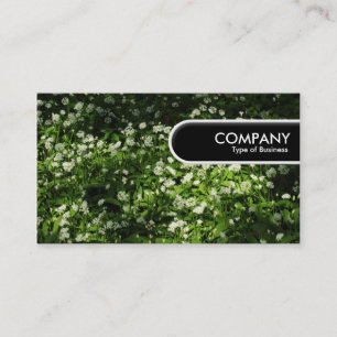 Runde Kante - Windknöchel Visitenkarte