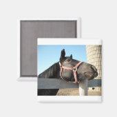 Runde Magnet (Vorderseite/Rückseite)