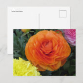 Runde Orange-Blume Postkarte (Vorne/Hinten)